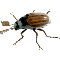 Abejorro Decorativo, 20 Cm