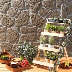 Aceitunas Verdes Alimento De Imitación