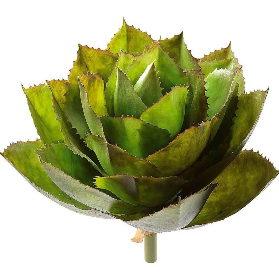 Agave Parryi Artificial Sin Maceta, 38 Cm Ø