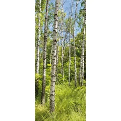 Bandera De Tela Ignífuga "Bosque De Abedules En Primavera" 75 X 180 Cm