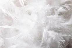Boa De Plumas, Blanca, 180 Cm