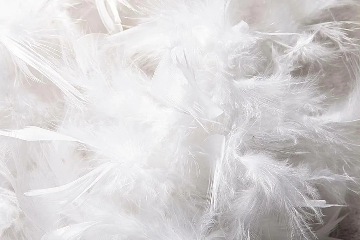 Boa De Plumas, Blanca, 180 Cm