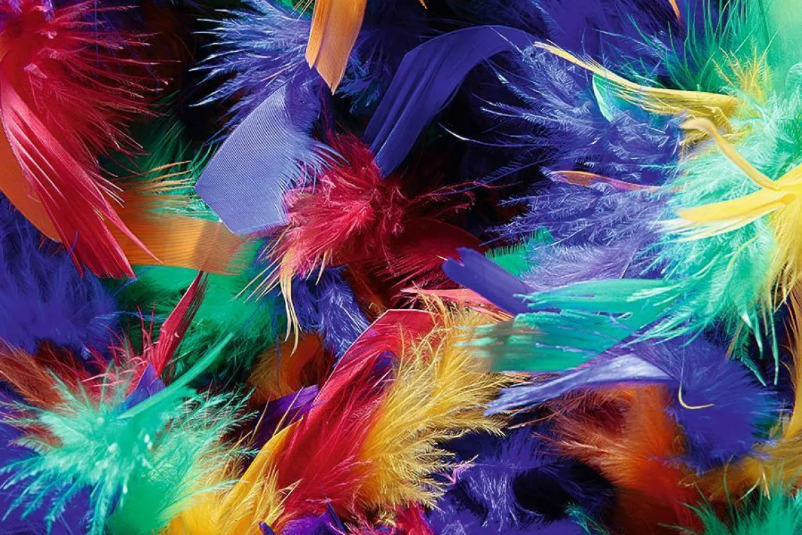Boa De Plumas, Colorida, 180 Cm