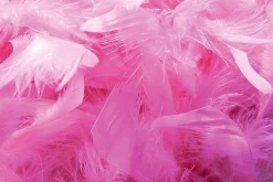 Boa De Plumas, Rosa, 180 Cm