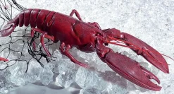 Bogavante Alimento De Imitación
