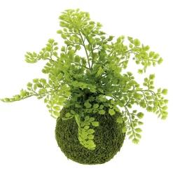 Bola De Musgo Artificial Con Helecho Culantrillo 30 Cm