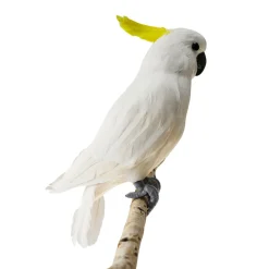 Cacatúa Decorativa Sentada Blanca-amarilla, 40 Cm