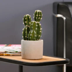 Cactus Artificial En Maceta 23 Cm