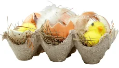 Caja De Huevos Y Pollitos