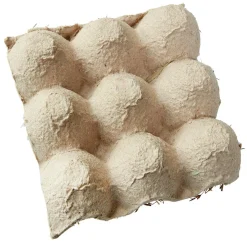 Caja De Huevos Y Pollitos