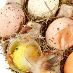Caja De Huevos Y Pollitos