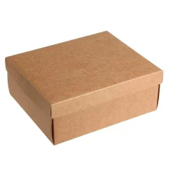 Cajas De Cartón De Regalo Marrón 24 X 22 X 9,5 Cm 10 Piezas