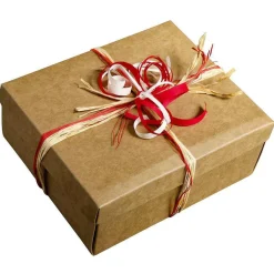Cajas De Cartón De Regalo Marrón 24 X 22 X 9,5 Cm 10 Piezas