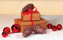 Cajas De Cartón De Regalo Marrón 38 X 26 X 13 Cm 10 Piezas