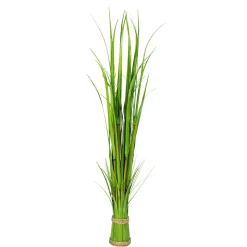 Carrizo Decorativo 90 Cm