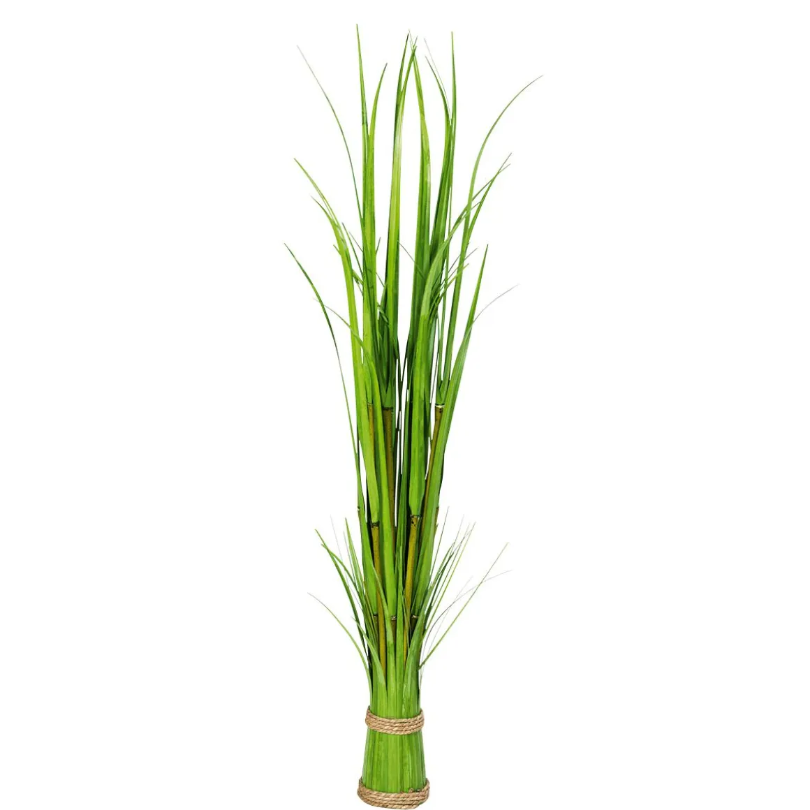 Carrizo Decorativo 90 Cm
