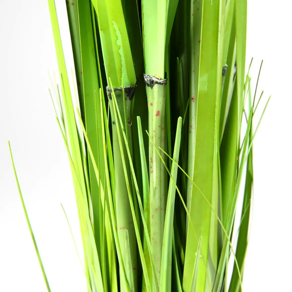 Carrizo Decorativo 90 Cm
