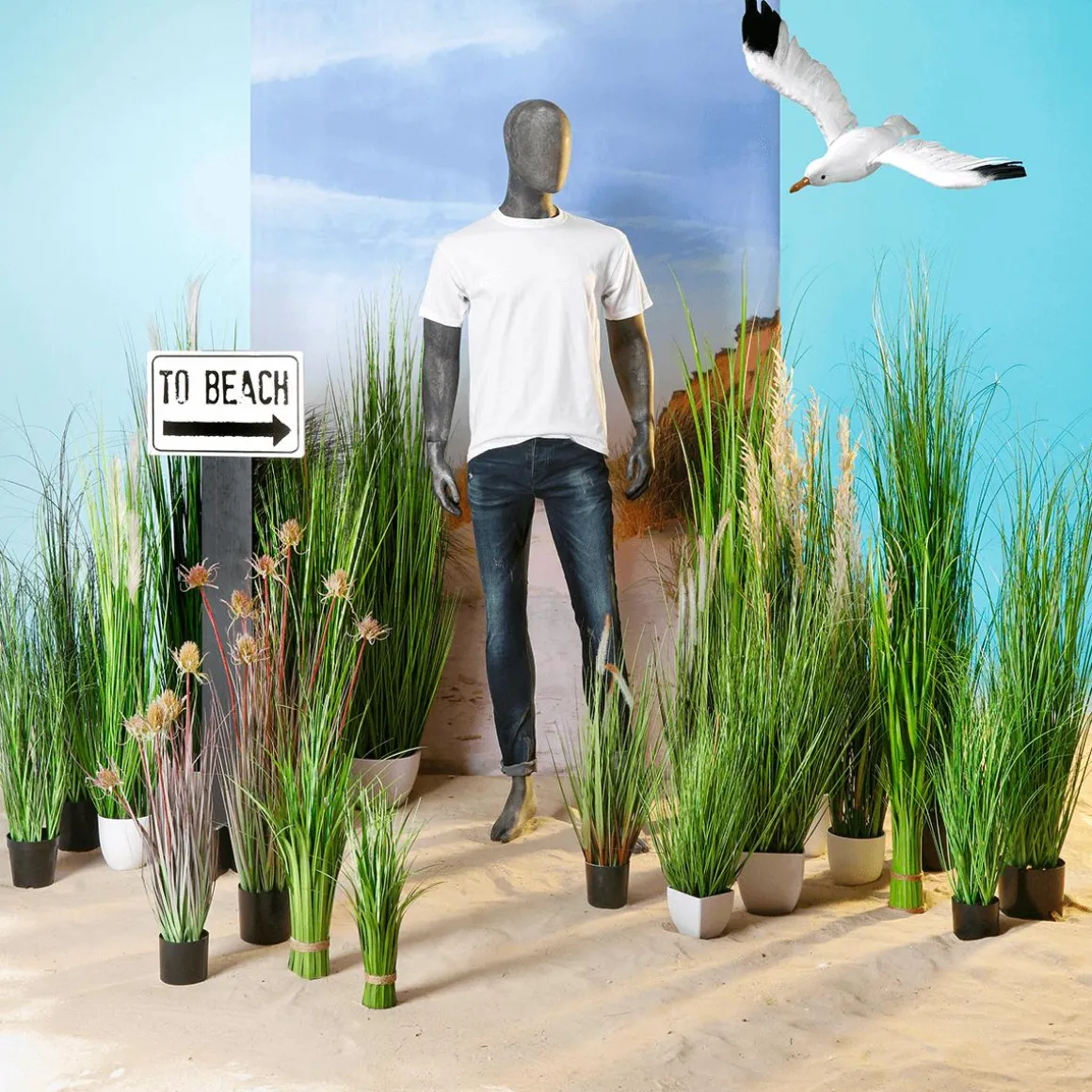 Carrizo Decorativo, 150 Cm