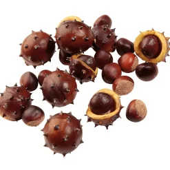 Castañas Decorativas, Ø 5 Cm, 22 Piezas