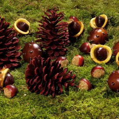 Castañas Decorativas, Ø 5 Cm, 22 Piezas
