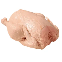 Chupete De Pollo Crudo 23 Cm