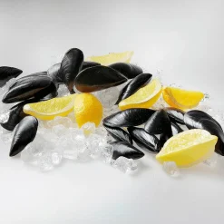 Chupetes De Mejillones, Pack De 24 Uds.