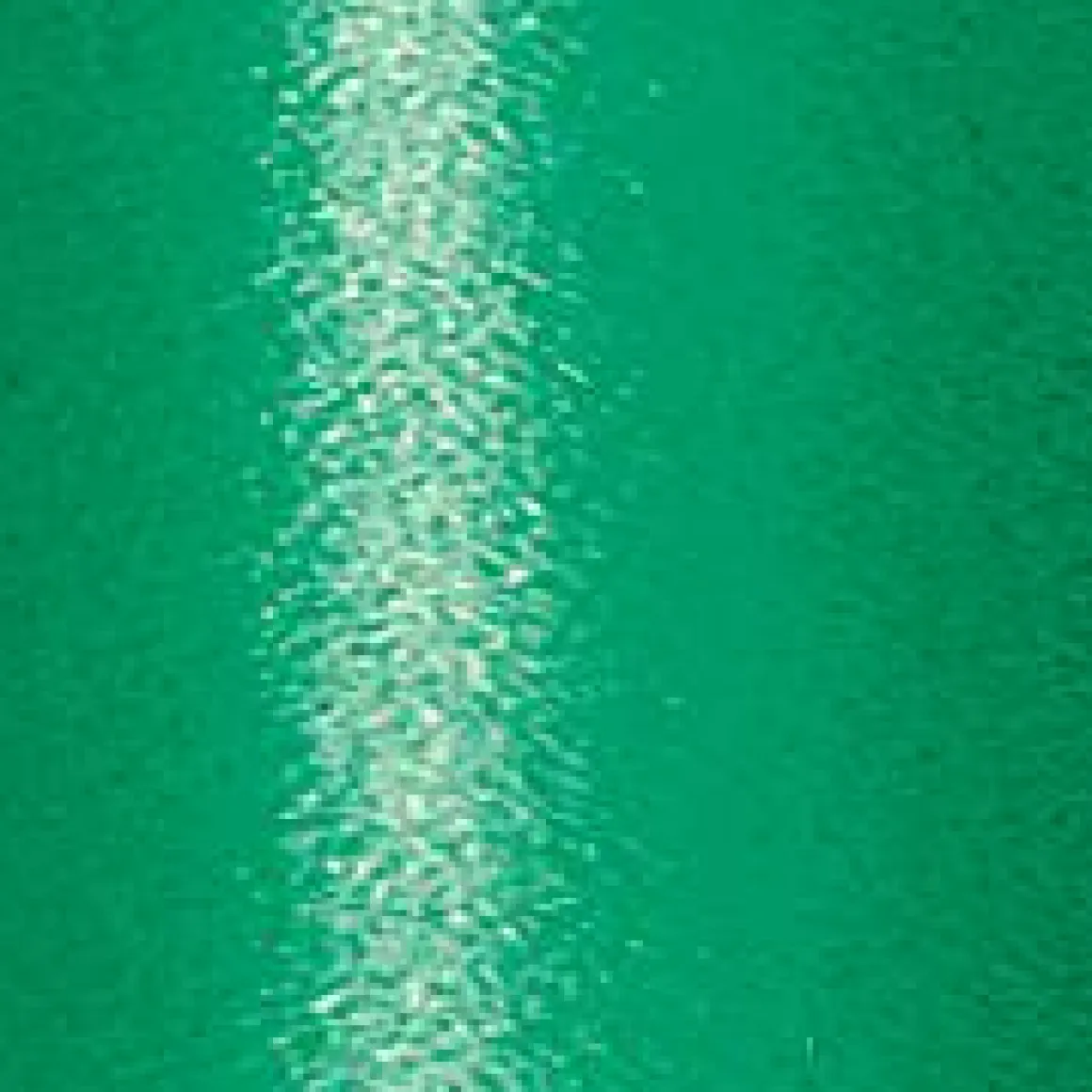 Cinta De Poliéster, Anchura De 10 Mm, Verde
