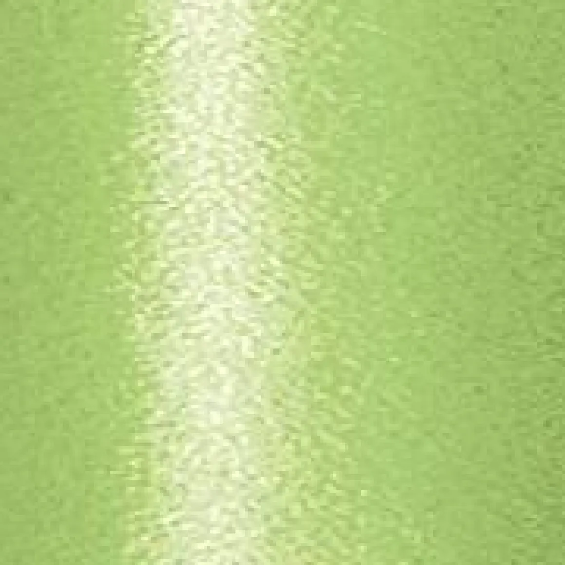 Cinta De Poliéster, Anchura 50 Mm, Color Verde Claro