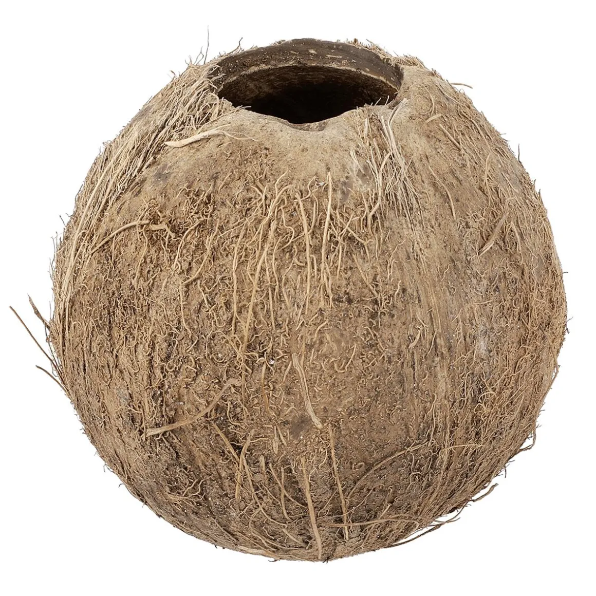 Coco Rellenable 12 Cm Ø