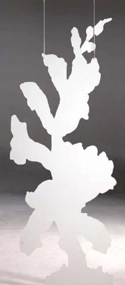 Colgante De Exposición "Dedalera" Anchura 156 Cm