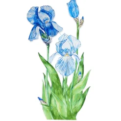 Colgante De Exposición "Iris" Anchura 110 Cm