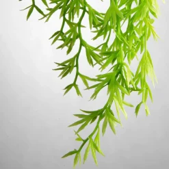 Colgante De Plantas Artificiales Espárragos De Sprenger Verde, 84 Cm