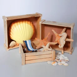 Conjunto De Cajas De Madera, Natural