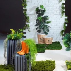Conjunto De Columnas Decorativas 