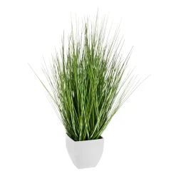 Deco Hierba Cebra En Maceta Blanca 50 Cm