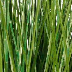 Deco Hierba Cebra En Maceta Blanca 78 Cm