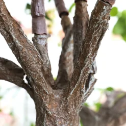 El árbol De Rosas Artificial Blanco/rosado, 210 Cm