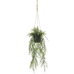 Espárrago Artificial Ornamental Asparagus Cesta Colgante 20 X 50 Cm
