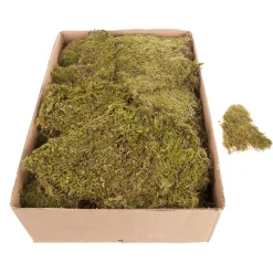 Esteras De Musgo, Placas De Musgo 2 Kg