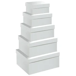 Estuche Regalo Con Tapa Blanco Metalizado 5pcs.