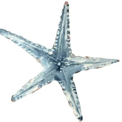 Expositor Estrella De Mar, Azul 35 X 33 Cm