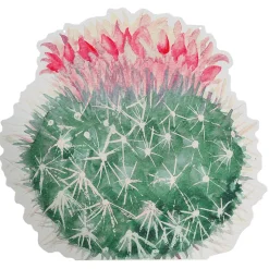 Expositor Para Colgar "Echinocactus" Fucsia