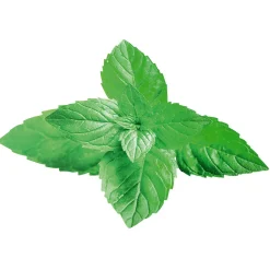 Expositor Para Colgar "Menta" 42 X 55 Cm