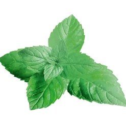 Expositor Para Colgar "Menta" 42 X 55 Cm