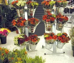 Expositores De Venta Para Flores Cortadas, 6 Cubos
