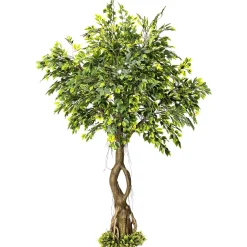 Ficus Artificial Con Pie 245 Cm