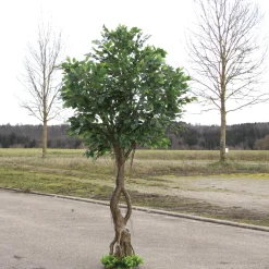 Ficus Artificial Con Pie 245 Cm