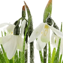 Flor Artificial Campanilla De Invierno En Maceta, 20 Cm De Altura