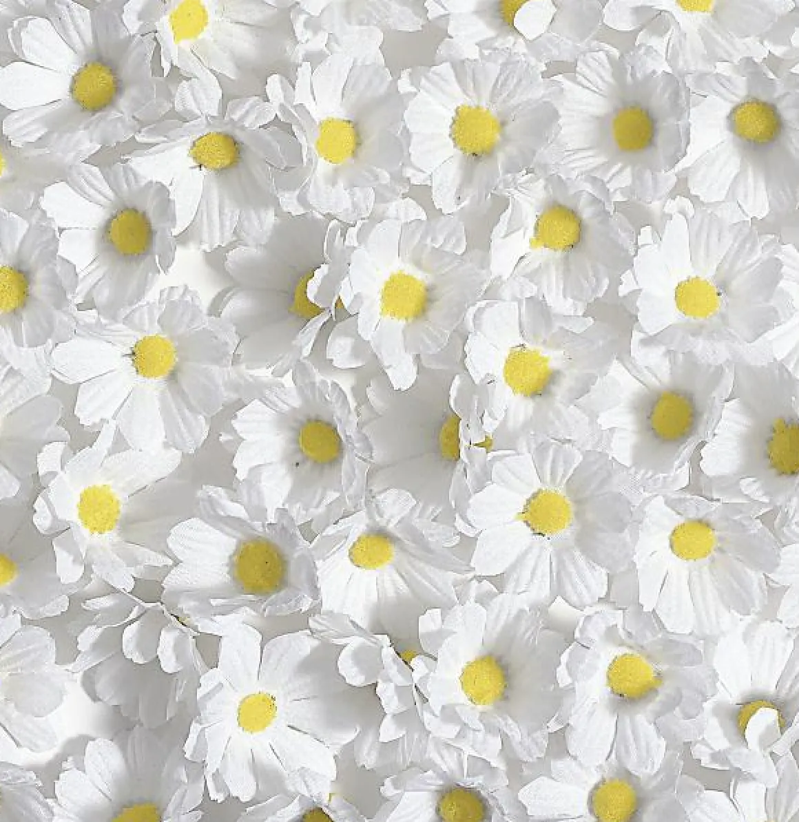 Flores De Margaritas Decorativas, 72 Piezas