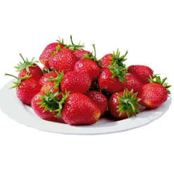 Fresas Alimentos De Imitación 24 Piezas